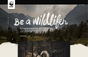 portfolio second image on mobile